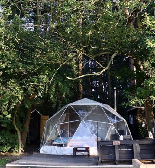 Camp Katur Glamping Hotell Carthorpe Rum bild
